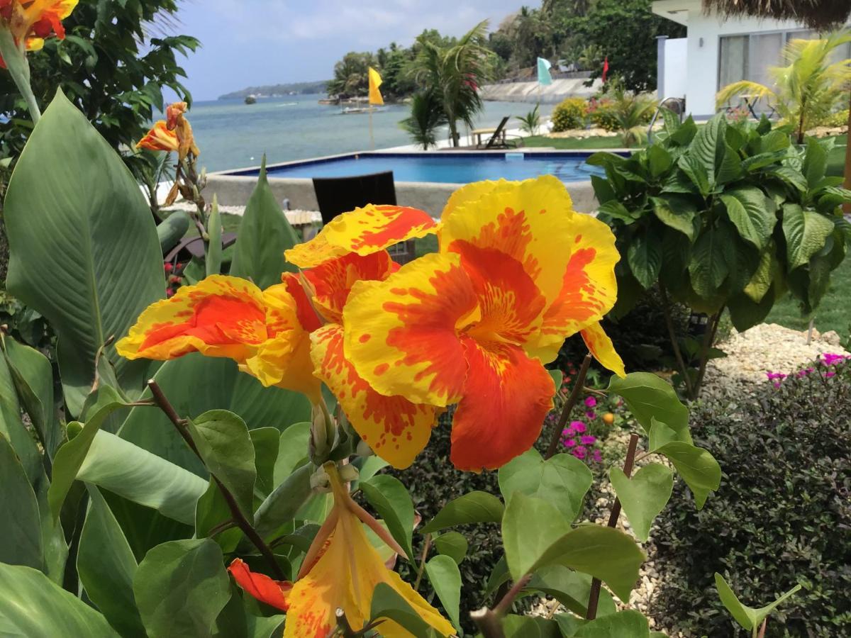 Bamboobeachvilla2 Ac New Oceanfront Pool Sunsetview Garden Kitchen Satellite Starlink Wi-Fi Dimiao Exteriér fotografie